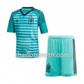 Maillot de Foot Espagne Gardien Enfant Domicile Coupe du monde 2018